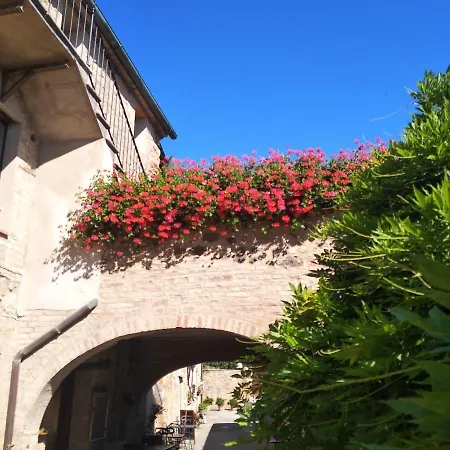 Apartamento La Tulipa *
