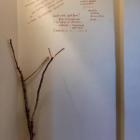 Apartamento La Tulipa *
