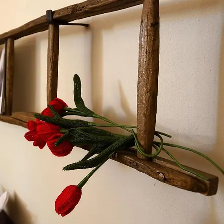 La Tulipa *