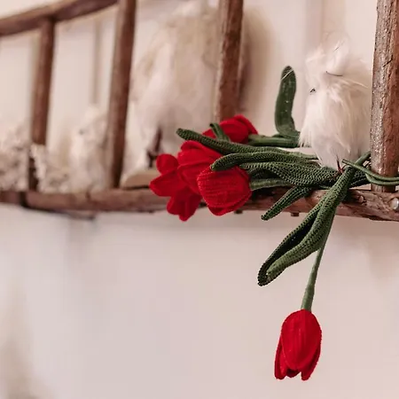 La Tulipa * San Quirico dʼOrcia