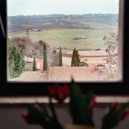 Apartament La Tulipa *